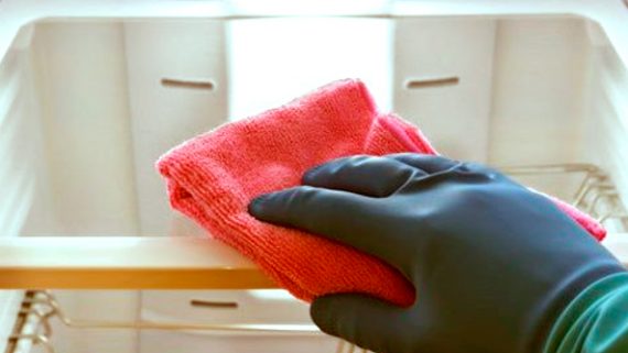 Limpieza y Cuidado: Una tarea ardua, pero necesaria